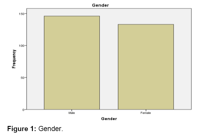 internet-banking-and-commerce-gender